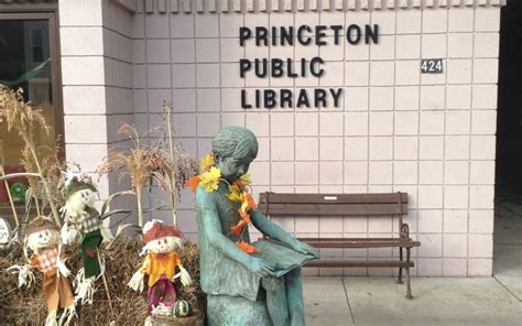 Image result for Princeton Area Library MN