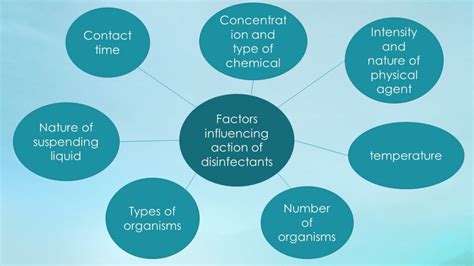 DISINFECTION | CEPT - Portfolio