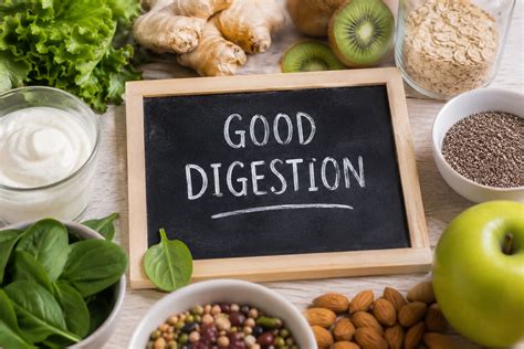 Why Digestion Is the Foundation of Good Health: Signs Your Gut Health ...