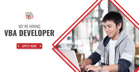 VBA Developer 的图像结果