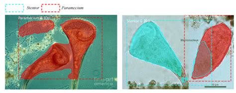 Applied Sciences | Special Issue : Low Carbon Water Treatment and ...