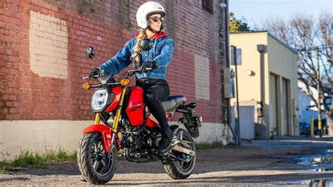 Honda Grom Becomes More Drool-Worthy For 2025