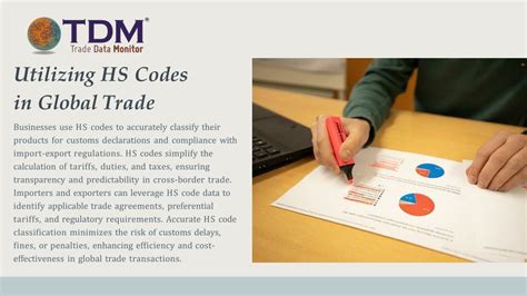 Export Data 的图像结果