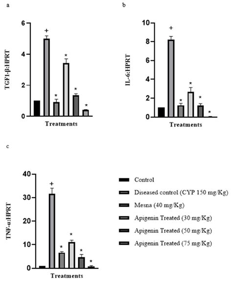 Spasmolytic and Uroprotective Effects of Apigenin by Downregulation of ...
