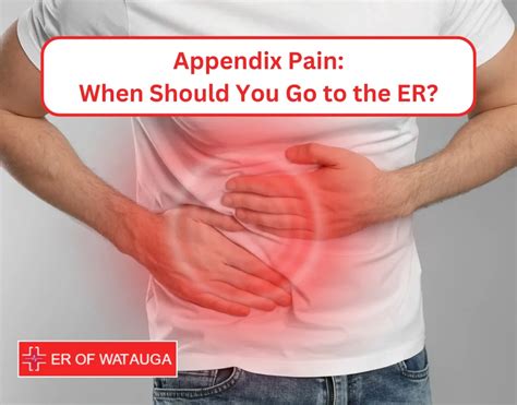 Image result for Appendix Pain Area