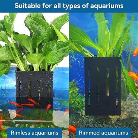 All Types of Aquarium and Pet Supplies – PetzLifeWorld