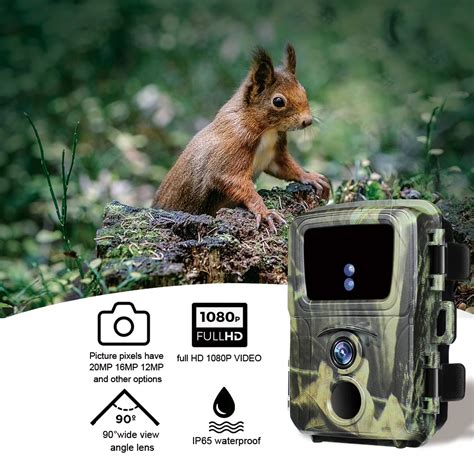 Mini 600 Trail Camera Set Up On This Computer 的图像结果