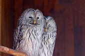 Image result for HTML Introduction Designs