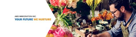 Ams Immigration Inc - Best Canada Immigration Consultant