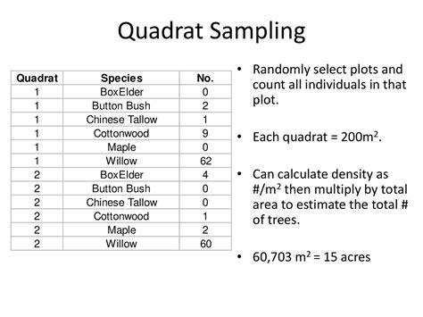 Image result for Quadrat Sampling Explained
