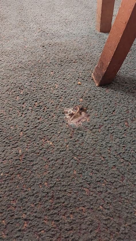 NOB HILL MOTOR INN (San Francisco) - Motel Reviews, Photos, Rate ...