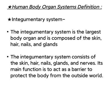 Monitor Body Definition at Sammy Parra blog