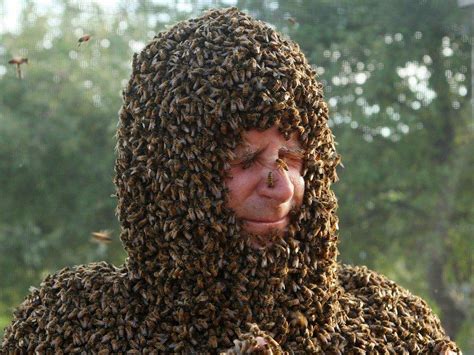 如果你吞进一只活蜜蜂，会发生什么？ - 哔哩哔哩