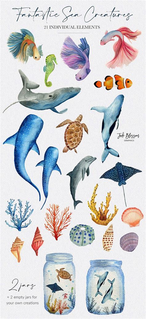 Example Icon Transparent 的图像结果