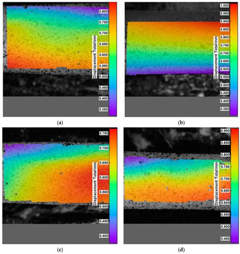 Evaluation of Selected Properties of Sodium Alginate-Based Hydrogel ...