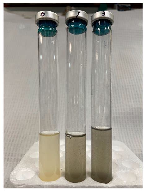 Megasphaera elsdenii: Its Role in Ruminant Nutrition and Its Potential ...