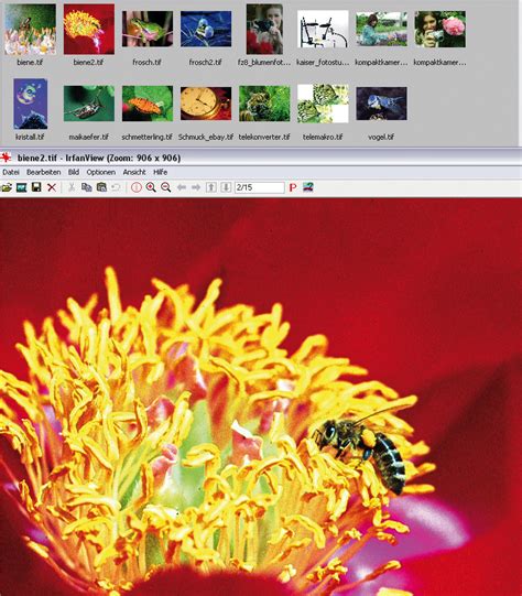 IrfanView Software 的图像结果