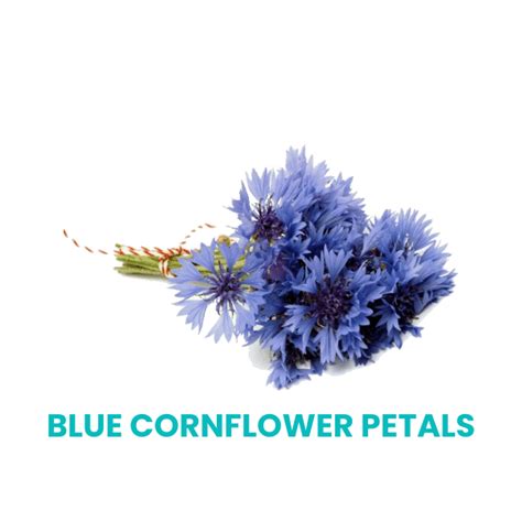 Buy Orange Liquorice Rooibos Tea from Tea Trunk