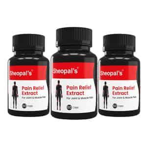 Buy SHEOPALS PAIN RELIEF CAPSULES FOR JOINTS & BODY MUSCULAR PAIN, BACK ...