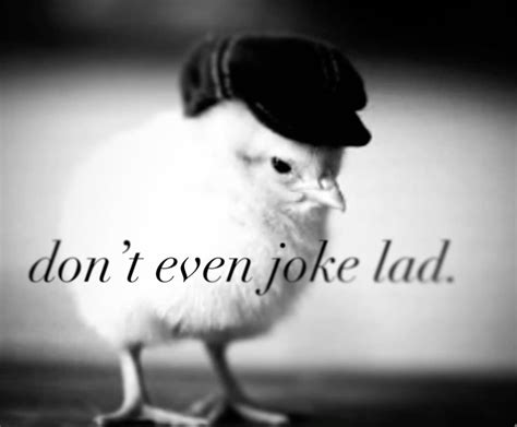 don’t even joke lad | Reaction pictures, Really funny pictures, Memes