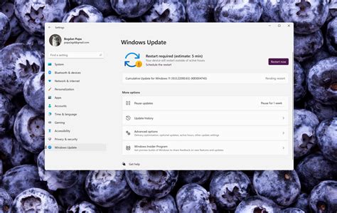 Install Windows 11 Developer 的图像结果