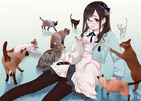 [200+] Anime Cat Wallpapers | page 4 | Wallpapers.com