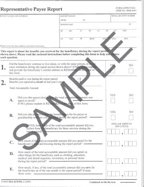 Representative Payee Form 2020-2026 - Fill and Sign Printable Template ...