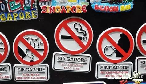 新加坡丨你必须知道的这些罚款规定 - 知乎