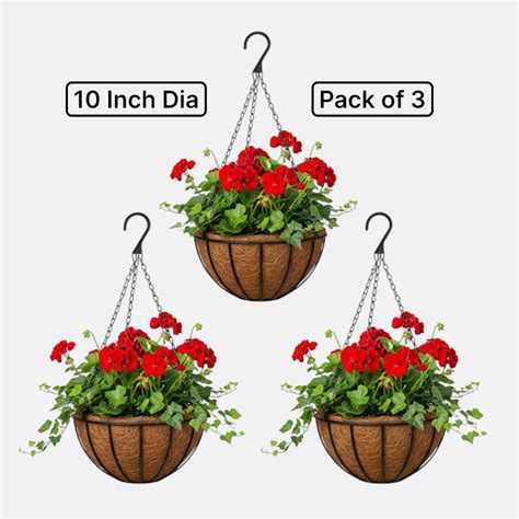 Buy Coir Hanging Basket with Metal Chain Online | Plantsguru
