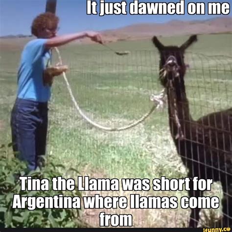 Napoleon Dynamite Meme Tina