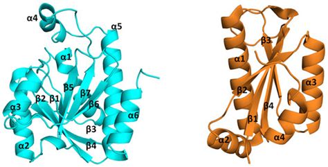 Unveiling the Druggable Landscape of Bacterial Peptidyl tRNA Hydrolase ...