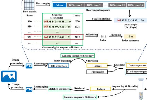 DNA Storage CodeChef Solution 的图像结果