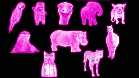 Image result for Sound Variations Modify Everything