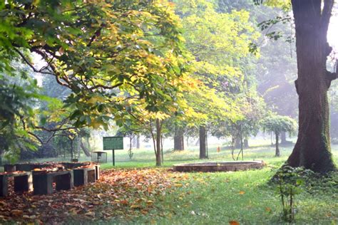 Introduction to Forest Mensuration - Forestry Coaching-IFoS ACF AFO FRI ...