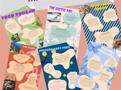 Image result for Memory and Learning Informational Posters Example