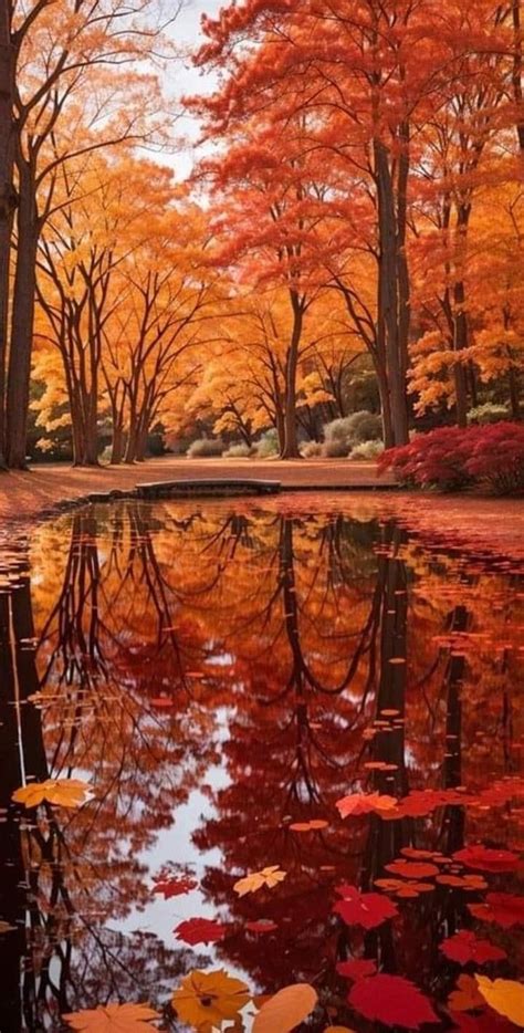 Fall 的图像结果