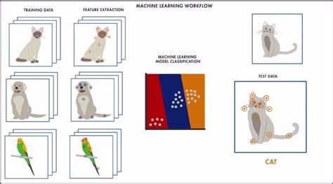 Image result for MathWorks Machine Learning Algorithm
