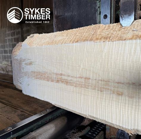 Cutting beautiful ripple Sycamore in England today. | Joseph Sykes