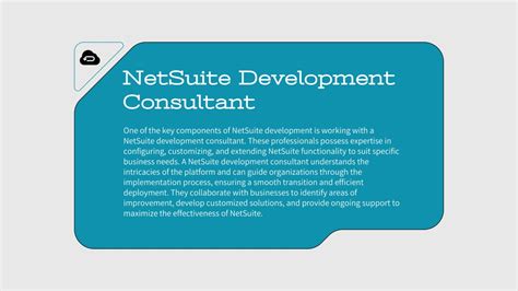 NetSuite Development 的图像结果