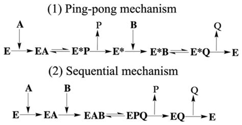 Investigation of the Detailed AMPylated Reaction Mechanism for the ...