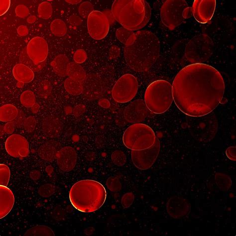 Neue Wege in der Behandlung der Graft-versus-Host-Disease - Hämatologie ...