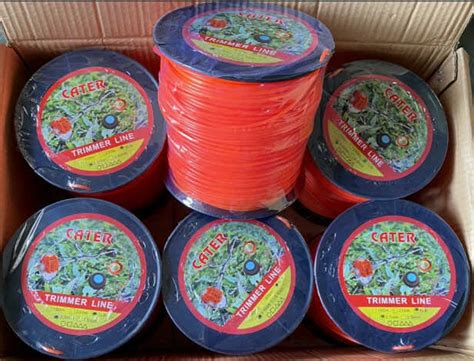 Image result for Alien Turtle Art