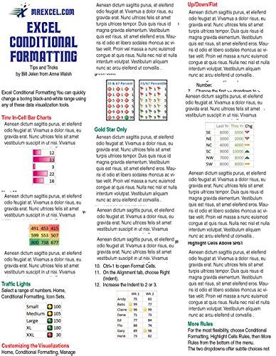 Buy Excel Conditional Formatting Tip Card: (laminated tip card) Book ...