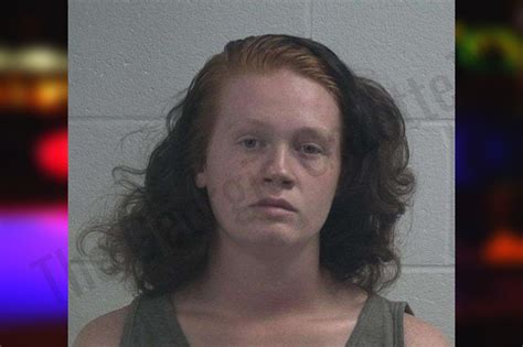 Karen Shirey — McDuffie County Jail Bookings