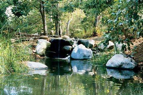 Nature Preschool | Environmental Nature Center