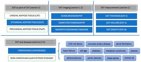 The Importance of the Assessment of Epicardial Adipose Tissue in ...