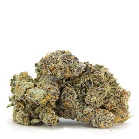 Image result for Blue Java App