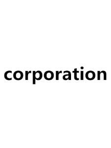 Corporation Example 的图像结果
