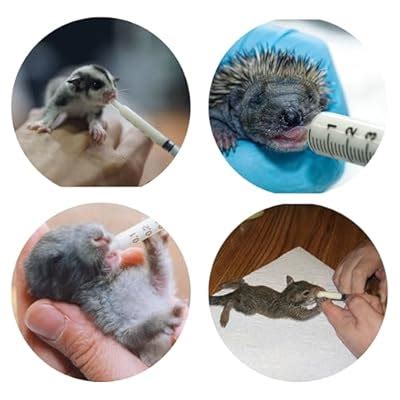 Exotic Nutrition Baby Squirrel Nursing Set (Basic) - India | Ubuy