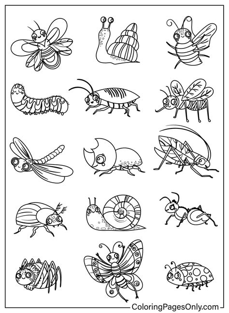 50+ Bugs Coloring Pages - Free Printable PDF & Online Coloring